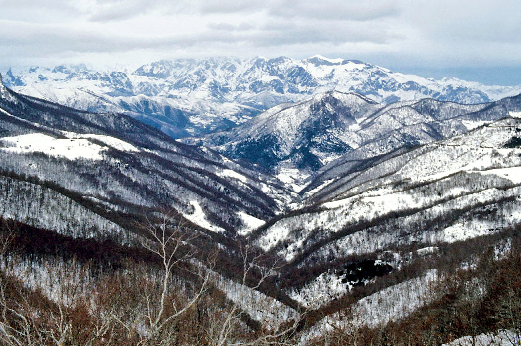 Snow and snowshoes